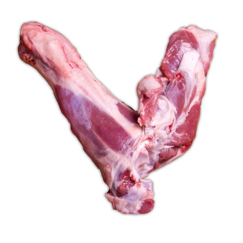 ماهیچه گوسفندی