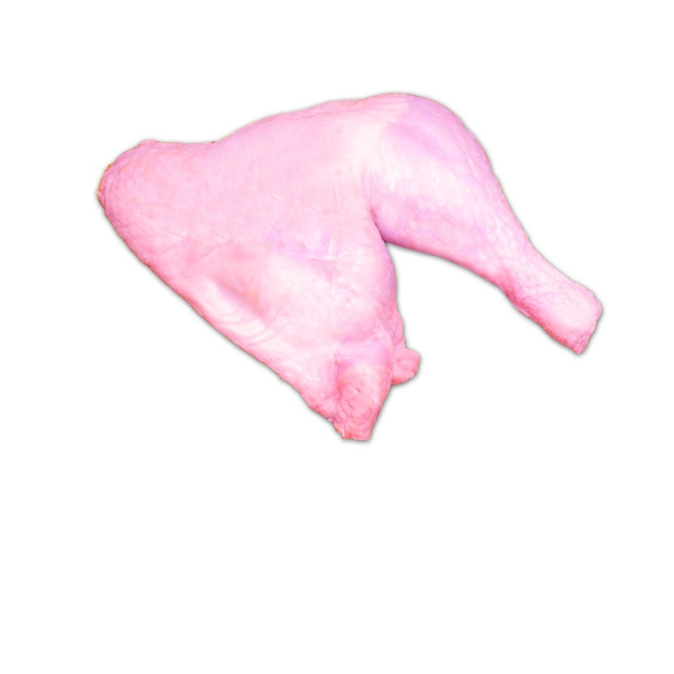 ران بوقلمون