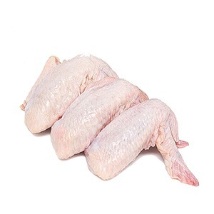 بال مرغ بدون سربال