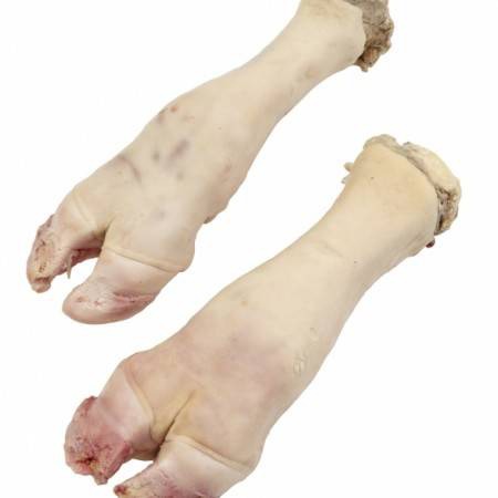 پاچه گوسفند