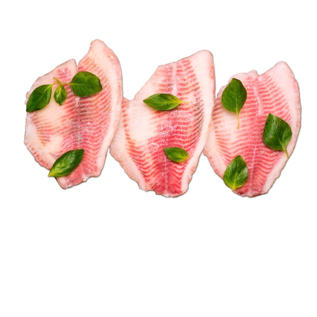 ماهی تیلا پیا