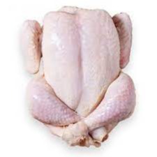 مرغ شیرکوه یزد