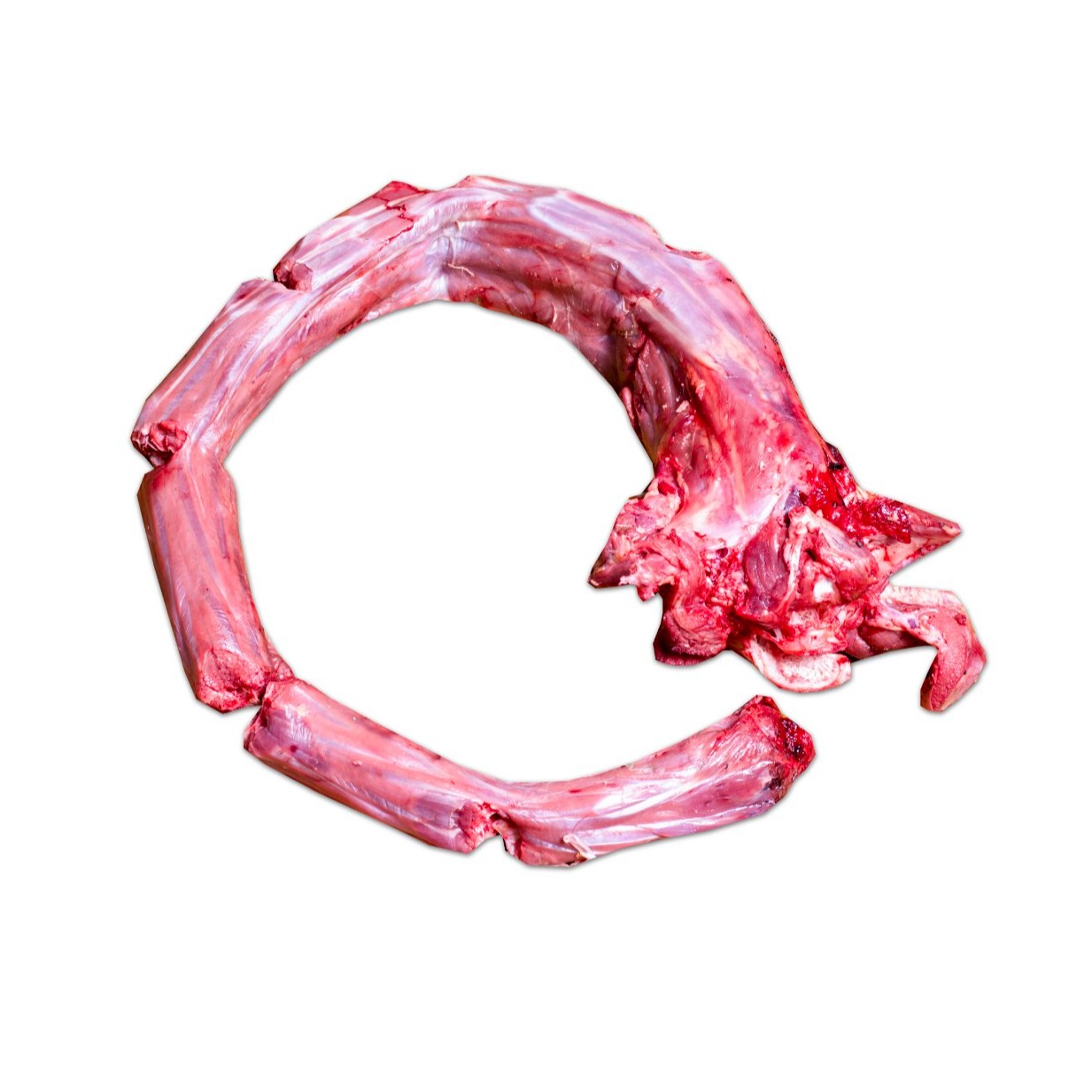 گردن شتر مرغ